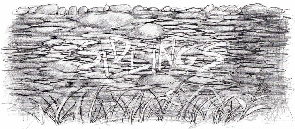 A picture of a wall made of flat, wide, oval-shaped stones. The word SIDLINGS has been painted on the wall in large, uneven, childlike letters. At the base of the wall are clumps of typha and crabgrass. 